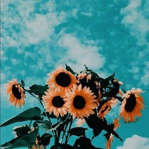 SPRING/SUMMER MYSTERY BOX